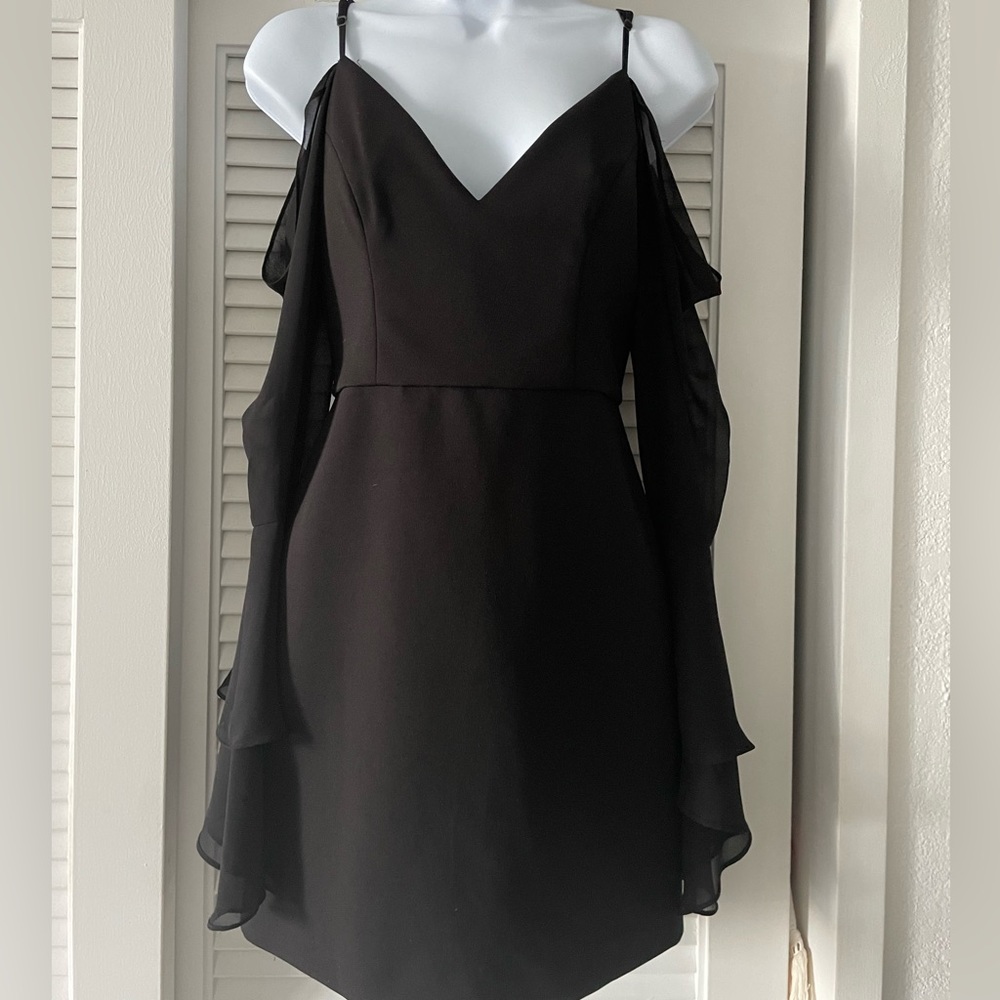 BCBG/MaxAzria cocktail dress with chiffon sleeves